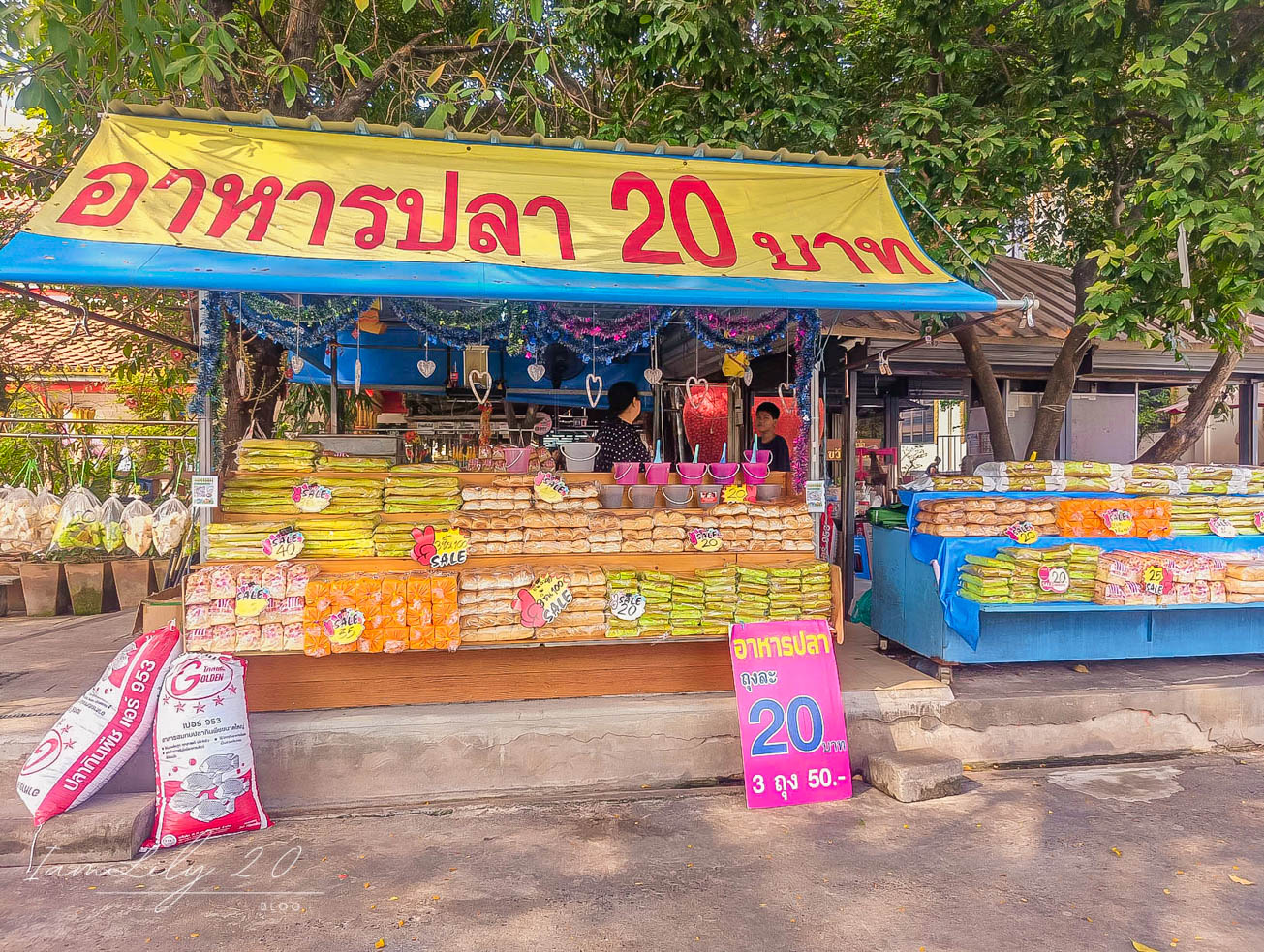 [曼谷•旅遊] 周末和孩子在關里安水上市場遇見50歲的陸龜、河畔餵天鵝、近距離和紅鶴合照，體驗佈施動物的文化之旅。-Khwan Riam Floating Market @IamLily 2.0