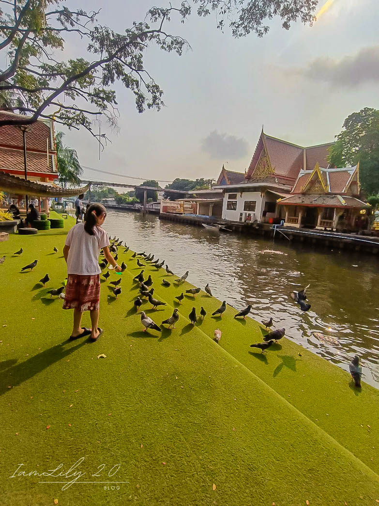 [曼谷•旅遊] 周末和孩子在關里安水上市場遇見50歲的陸龜、河畔餵天鵝、近距離和紅鶴合照，體驗佈施動物的文化之旅。-Khwan Riam Floating Market @IamLily 2.0